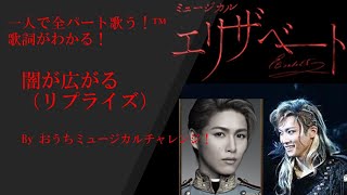 エリザベート　2幕20　闇が広がる（リプライズ）　（概要欄に全歌詞付き）全役ひとりで歌うチャレンジ！