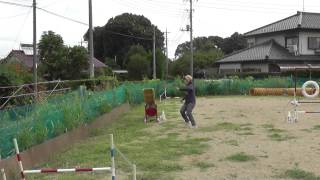 2015_08_08 栗之介＠野田　1strun