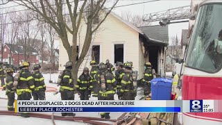 Two dogs dead, another rescued in Siebert Place fire