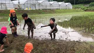 田植え体験？泥んこ遊び？