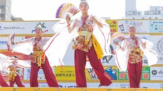 [4K]太伯さくら組　うらじゃ2016 1日目 下石井公園演舞場