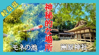 岐阜県の神秘的で神聖な場所#おすすめ#旅行 #パワースポット 、知る人ぞ知る岐阜県の穴場スポットに行って来ました。