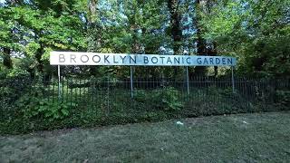 Strolling Through Brooklyn Discovering the Hidden Gems of Flatbush Avenue