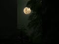 Good night status 🖤😴  #moon #lovestatus #goodnight