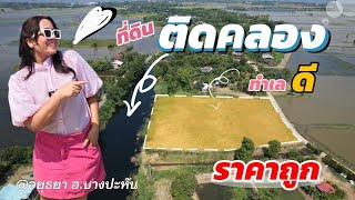 ขายด่วยๆหน้าติดถนนคอนกรีต หลังติดคลอง #ขายราคาถูกๆ  ที่ดินทำเลดีมาก ↘️ ที่ดินรูปแปลงสวย  [EP.1726]