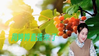 #周婷婷音樂微綜藝LIVE🎧#電腦虛擬背景音樂分享/주팅팅 생방송 채널/Zhou Tingting Live Channel/Welcome to book the door.😍😍