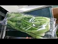 叶菜包装机 枕式蔬菜包装机械，flow pack vegetable packing machine