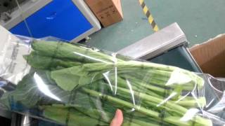 叶菜包装机, 枕式蔬菜包装机械，flow pack vegetable packing machine