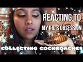 Reacting to My Kid's Obsession | Collecting Cockroaches