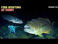 NIGHT SPEARFISHING EPISODE 133 | FISH HUNTING AT NIGHT