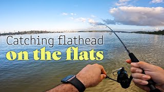 Catching Flathead Landbased with Daiwa Lures