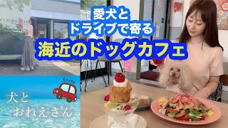 ★愛犬とドライブデート専用カフェ★