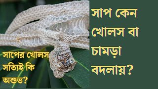 কেন সাপ খোলস বা চামড়া বদলায়?। সাপের চামড়া কিভাবে পরিবর্তন হয় দেখুন  ও সঠিক কারণ জানুন| #snake #molt