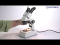 452 & 453: Compact Dual Mag. Stereo Microscopes