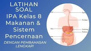 Latihan Soal IPA Kelas 8 Makanan dan Sistem Pencernaan dengan Pembahasan Lengkap