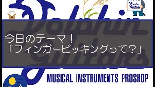 ドルフィンギターズ Youtube店　テーマ「フィンガーピッキングって？」