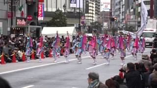 【4K】龍星一起（2015東京よさこい）