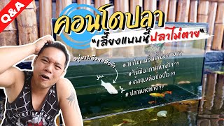 Q\u0026A ตอบดราม่า คอนโดปลา เลี้ยงแบบนี้ปลาไม่ตาย #T3B #diy