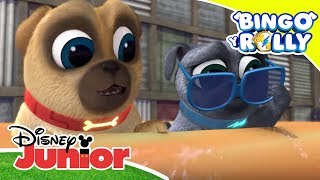 A jugar con Bingo y Rolly: Fiesta canina en la piscina | Disney Junior Oficial