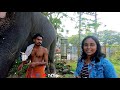 kanjirakkattu sekharan elephant kanjirakkattu sekharan poovalan babu namboothiri elephant