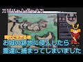 【スピリットボックス】お城の跡地に侵入したら霊達に捕まってしまいました。今もお城を守り続けているようです。