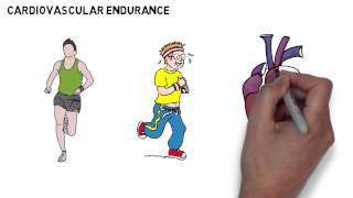 Endurance and Stamina - GCSE Physical Education (PE) Revision