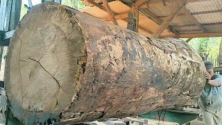 big and disturbing'sawing a giant ancient log worth tens of millions in a sawmill