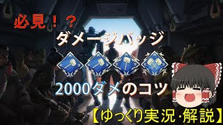 【Apex Legends】2000～4000ハンマー取得までの簡単立ち回り解説⁉【ゆっくり実況】