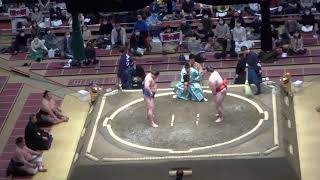 【大相撲三月場所2021】若隆景(荒汐部屋) vs 隆の勝(常盤山部屋) 初日[Grand Sumo] WAKATAKAKAGE vs TAKANOSHO 2021/03/14