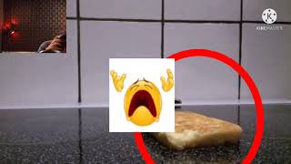 Waffle falling over but it’s 21st century humor (REMASTERED)