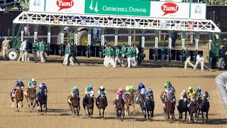 2017  Kentucky Derby  The Horses to Watch & Betting Odds