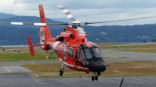 Rare! U.S. Coast Guard Eurocopter MH-65 Dolphin Landing, Startup \u0026 Takeoff From YYJ