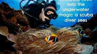 Scuba Diving in Truk Lagoon (Chuuk), Micronesia