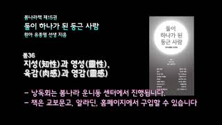 [봄나라]지성(知性)과 영성(靈性), 육감(肉感)과 영감(靈感) - 제15권 둘이 하나가 된 둥근 사람 낭독듣기 봄36