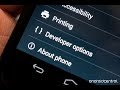 What is Developer Settings | How to unlock | Every setting explained