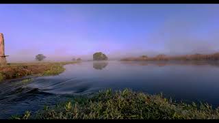 Spring nature sounds. Morning and evening at the Biebrza Marshes