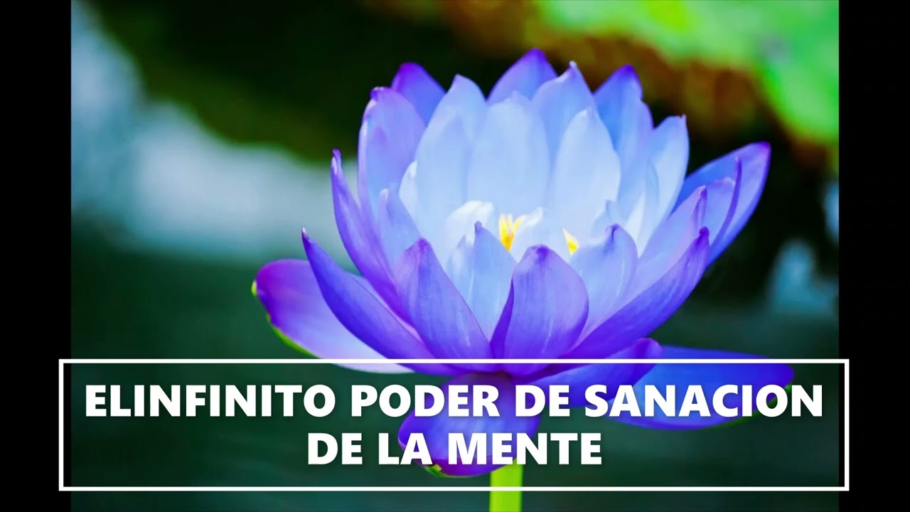 EL INFINITO PODER DE SANACION DE LA MENTE. Tulku Thondup, Octava Parte ...