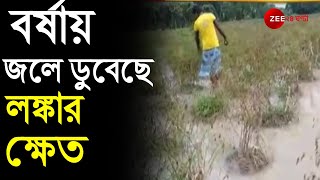 বর্ষার জলে ডুবেছে বিঘের পর বিঘে লঙ্কার ক্ষেত, কৃষকের মাথায় হাত, পাশাপাশি TRAIN বন্ধ থাকায় অগ্নিমূল্য