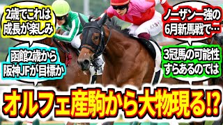 『オルフェーヴル産駒、6月で新馬勝ち 新たな大物誕生か』に対してのみんなの反応集　エメラヴィ　【競馬の反応集】