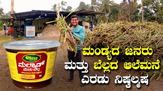 Chemical Free Processed Jaggery ಆಲೆಮನೆ ಬೆಲ್ಲ | Shree Naturals Jaggery Mandya | Kannada Vlogs