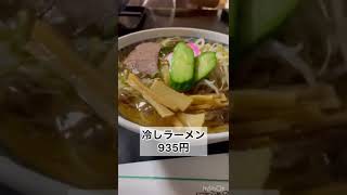 【山形】氷浮かぶ元祖冷しラーメン【栄屋本店】