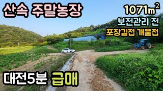 (매물번호14141) 논산부동산 1071㎡(324) 논산땅 논산시토지매매매물 시골땅 촌땅 소액 산속 주말농장 싼땅 대전부동산 청주부동산 부여부동산 공주토지 세종시부동산 8500만원