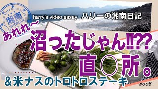 【76歳 移住者ハリーの湘南暮らし】Elderly Harry’s life in Shonan あれれ〜沼ったじゃん、野菜直○所 \u0026 米ナスのトロトロステーキ