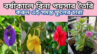 বর্ষাকালে বিনা পয়সার কোন কোন ফুলের চারা তৈরি করতে পারবেন//How to grow plant from cutting