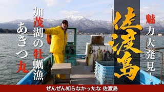 【 魅力発見！佐渡島 】行かないと損！旅行好きが紹介する「海と山に囲まれた日本の隠れた宝石島」 加茂湖の牡蠣漁（あきつ丸）