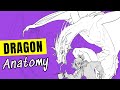 Start Drawing DRAGONS Like This!