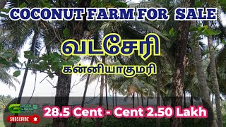 Coconut farm Sale | Nagercoil | Vadaseri | Kanyakumari | 28.5 cent | 20 feet Road | 9894708317