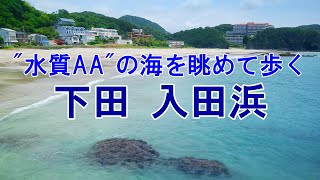 水質AA極めて良好の海　南国気分でゆったり歩く　下田市入田浜