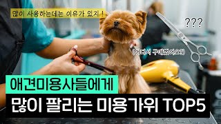 애견미용사들이 가장 많이 사용하는 강아지 미용가위 TOP5❗️