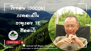 โซคอน (SOCON) กรดอะมิโน ธาตุรอง TE คืออะไร | อาจารย์ ตรี รัชยุทธ วรรณศิริบุญ